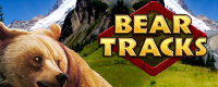 Bear Tracks Logo