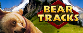 Bear Tracks