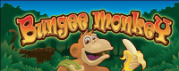 Bungee Monkey Logo