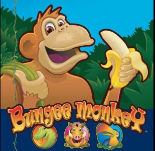 Die Gewinnsymbole in Bungee Monkey