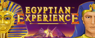 Egyptian Experience