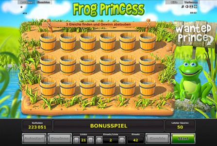 Frog Princess Bonus beim Stargames Spiel von Novoline