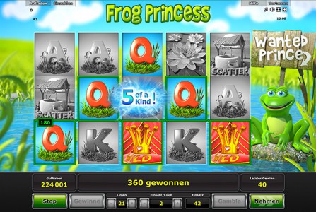 Gewinnkombination im Frog Princess von Stargames