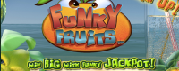 Funky Fruits Logo