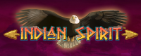 Indian Spirit Logo