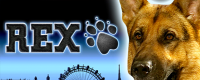 Rex Logo