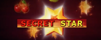 Secret Star Logo