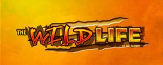 The Wild Life – 30 Freispiele im Afrika Slot