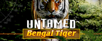 Untamed Bengal Tiger Logo