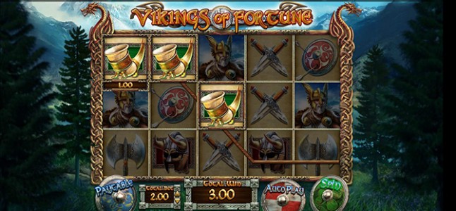 Gewinn im Spielautomaten Spiel Vikings of Fortune