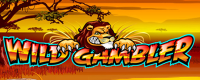 Wild Gambler Logo