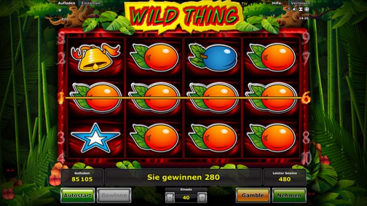 Toller Gewinn im Stargames Spiel Wild Thing