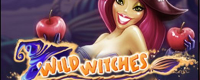 Wild Witches Logo