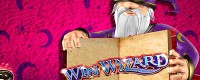 Win Wizard Logo